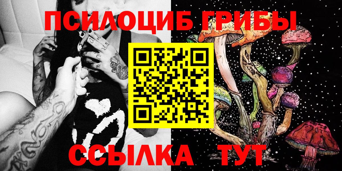 Галлюциногенные грибы Psilocybe Домодедово
